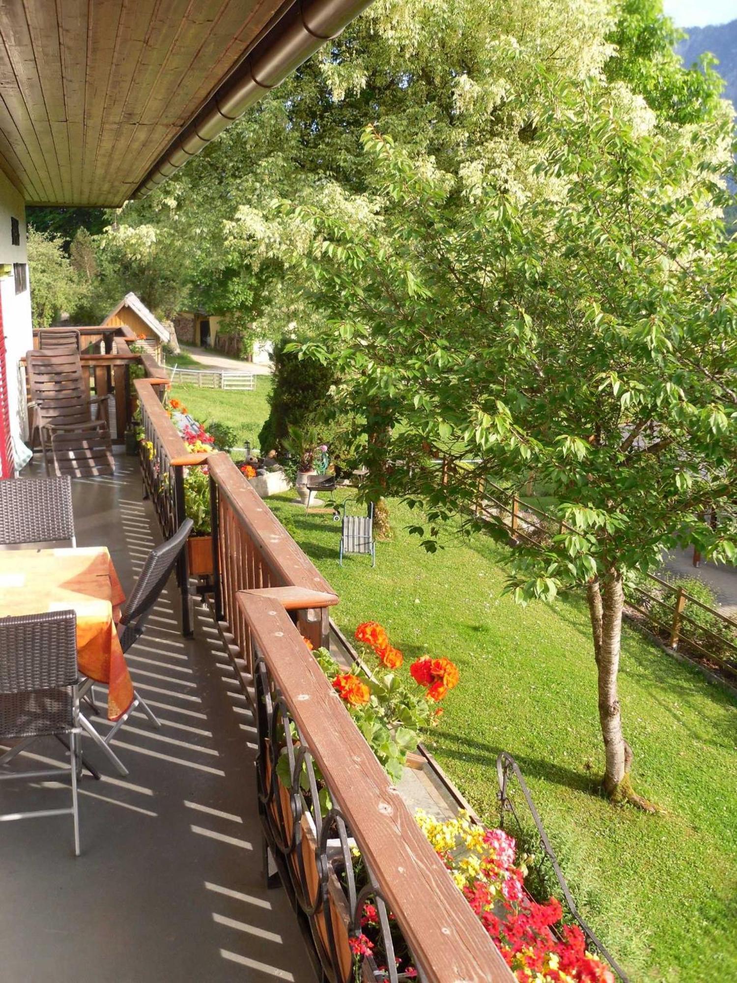 Ferienwohnungen Haus Elisabeth Bad Goisern Exterior foto