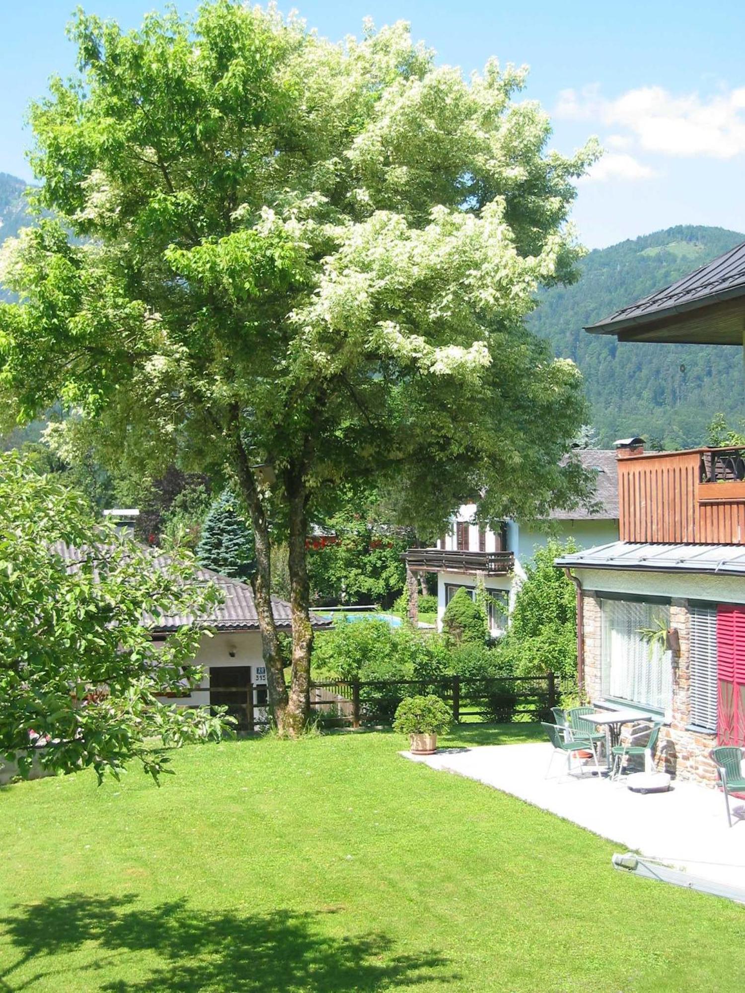 Ferienwohnungen Haus Elisabeth Bad Goisern Exterior foto